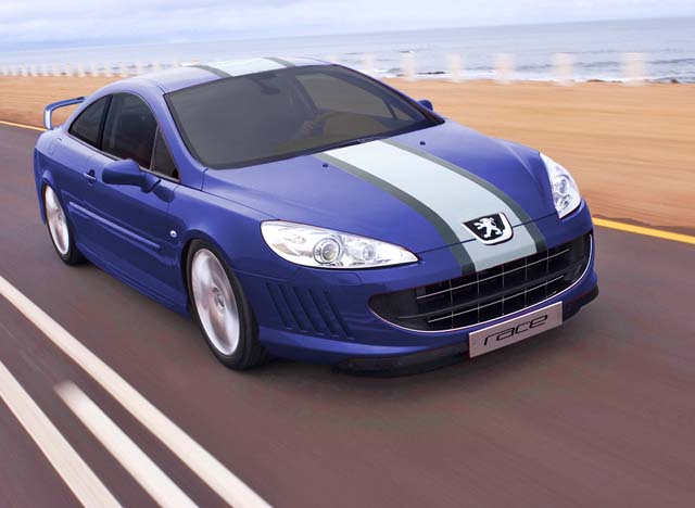 rom_in_1109187704_peugeot_407_coupe_race.jpg