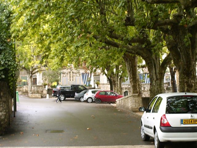 QUELQUES ROUTIERES DANS LES PLATANES A BARJAC