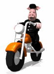 moto024.gif moto024.gif