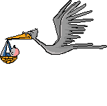 cigogne_001.gif