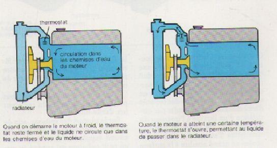 capture01-29cedb4.jpg