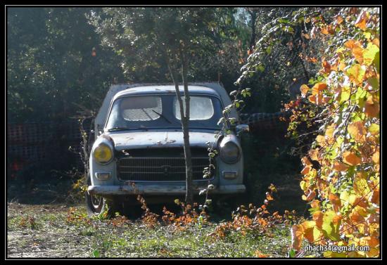 PEUGEOT_404_Plateau_1972_1_.jpg