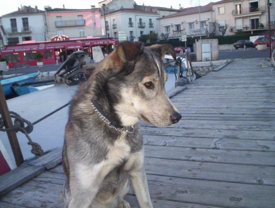 000_0705.JPG